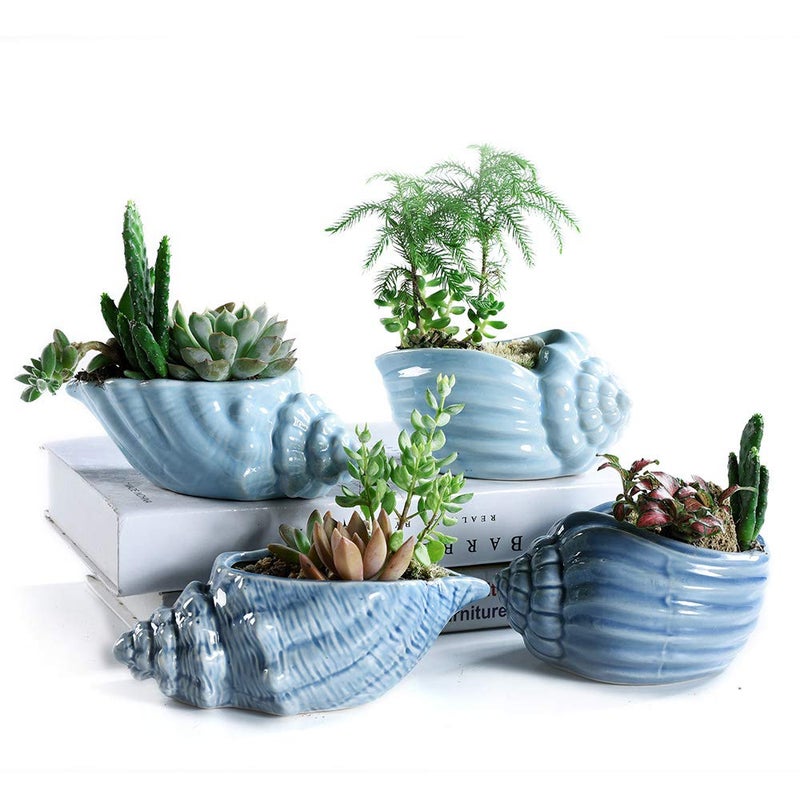 SE SUN-E Bonsai Pots 5.5 Inch Blue Conch Ocean Series Ceramic Base Serial Set Succulent Plant Pot Cactus Plant Pot Flower Pot Container Planter With Drainage Hole Gift Idea 4 In Set(Plants Not Included) - Image 2